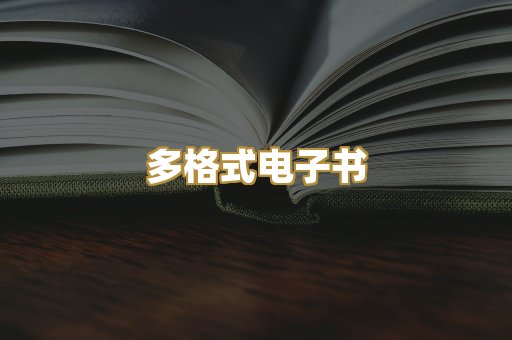 多格式电子书